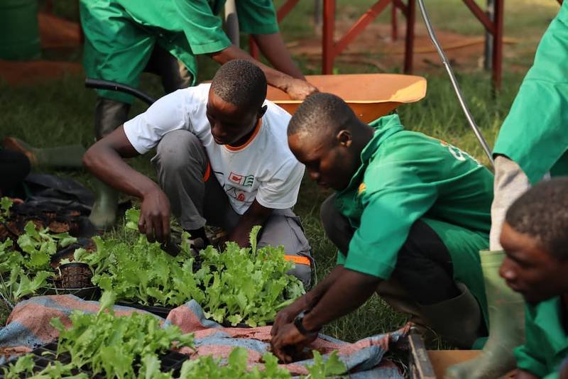 AGROPONIC SARL recrute un profil SENEGAL