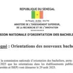 Orientations des nouveaux bacheliers 2025 disponibles