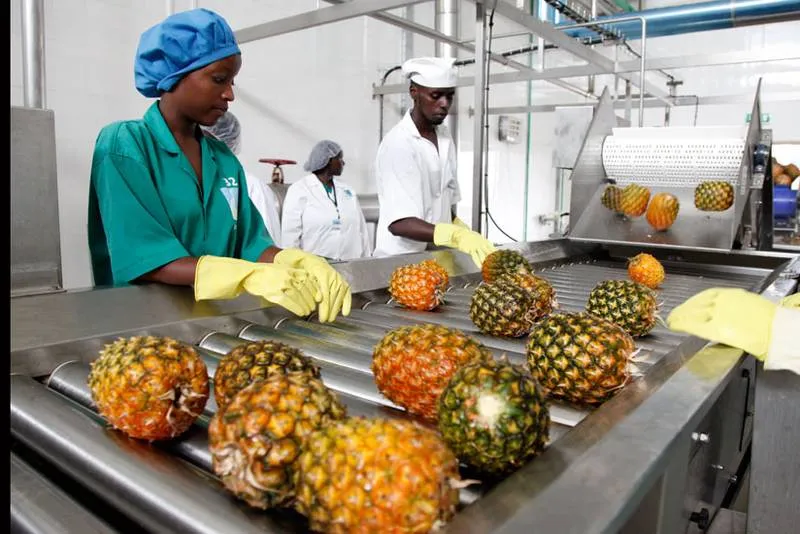 Resultats admis definitifs concours BTS industries Agroalimentaires session 2025