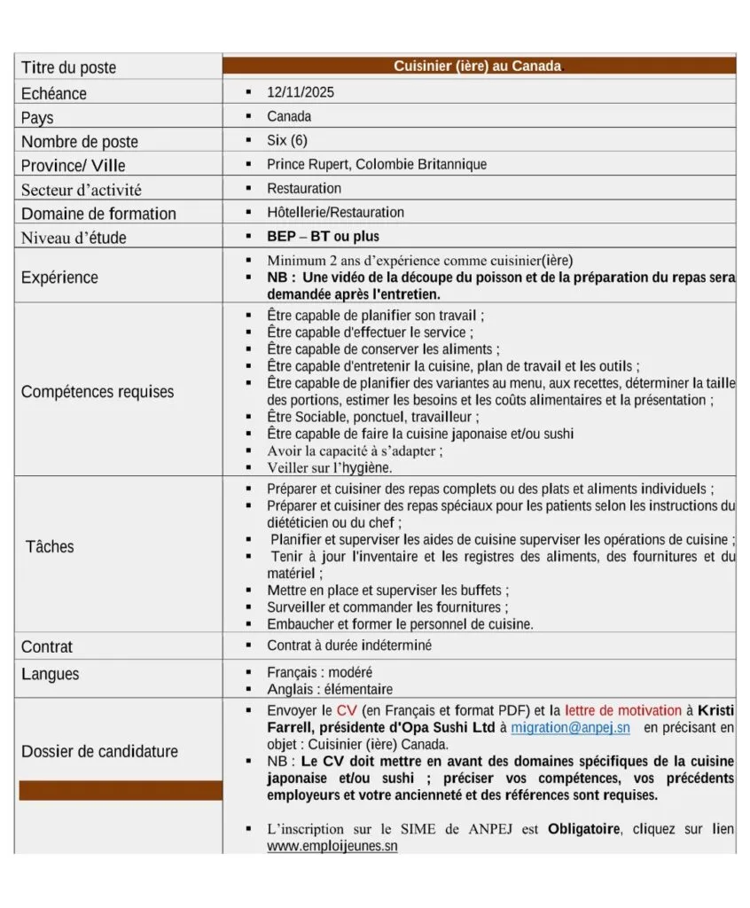 ANPEJ en partenariat avec une entreprise canadienne recrute 10 profils