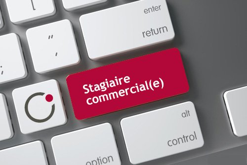 Kalia recrute un Stagiaire Commercial