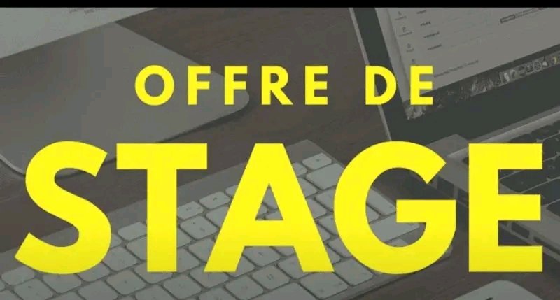 Offre de Stage Remunere a la Delegation de lUnion Europeenne au Senegal