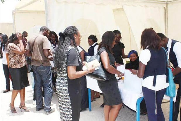 11 jeunes diplômés recherchés à Thiès pour une mission urgente 1 11 jeunes diplomes recherches a Thies pour une mission urgente