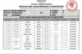 Admis definitifs BTS Electromecanique APC