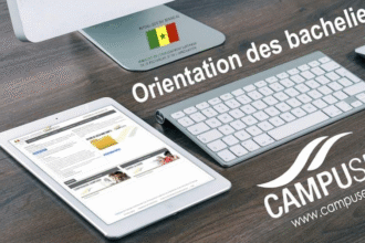 Orientation des bacheliers 2025 admis a la session de remplacement doctobre 2025