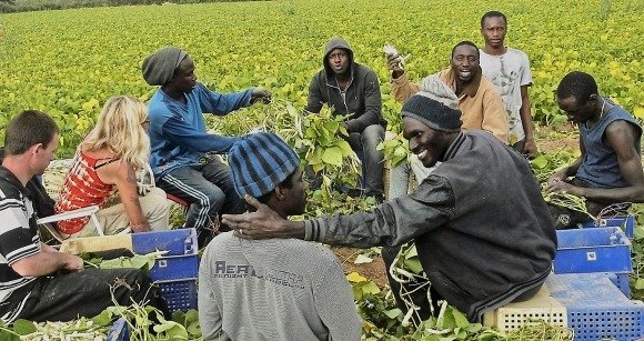 Recrutement douvriers agricoles en Espagne
