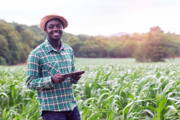 stage Technicienne Agricole
