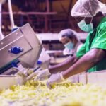 AVIS DE RECRUTEMENT – UNITE DE PRODUCTION AGRO INDUSTRIELLE KEUR MASSAR