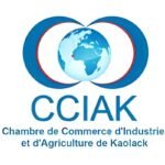Appel a candidature pour le programme dincubation CIJE a Kaolack