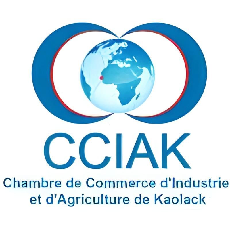 Appel a candidature pour le programme dincubation CIJE a Kaolack