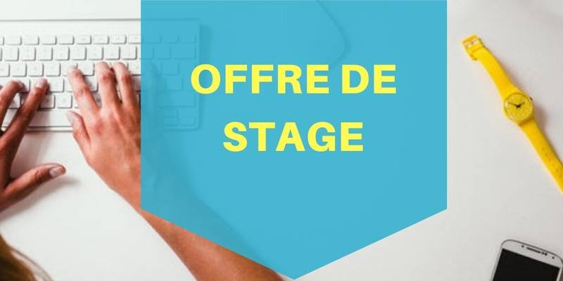 Direction générale du Trésor recrute 01 Stagiaire au service économique 1 Direction generale du Tresor recrute 01 Stagiaire au service economique