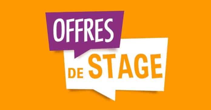 HereWeGo recrute 4 stagiaires 1 HereWeGo recrute 4 stagiaires