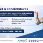 APPEL A CANDIDATURES POUR LES CERTIFICATS EN E BUSINESS ET EN COMPETENCES NUMERIQUES ESSENTIELLES