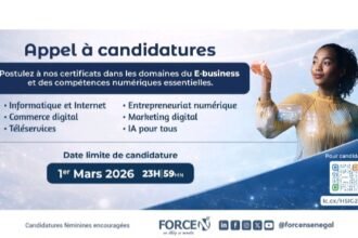 APPEL A CANDIDATURES POUR LES CERTIFICATS EN E BUSINESS ET EN COMPETENCES NUMERIQUES ESSENTIELLES