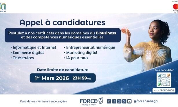 APPEL A CANDIDATURES POUR LES CERTIFICATS EN E BUSINESS ET EN COMPETENCES NUMERIQUES ESSENTIELLES
