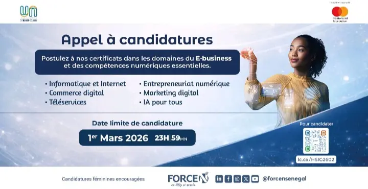 APPEL A CANDIDATURES POUR LES CERTIFICATS EN E BUSINESS ET EN COMPETENCES NUMERIQUES ESSENTIELLES