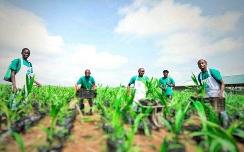 La Haute Autorite du Waqf recrute un Technicien Agricole