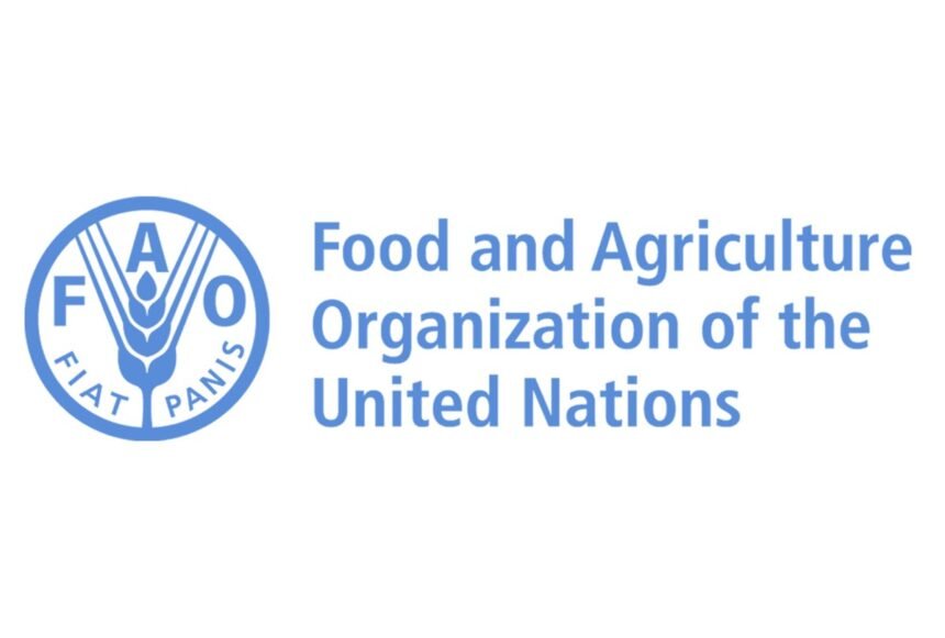 Offres de stages à l'ONG FAO 2026 - Postulez dès maintenant 1 Offres de stages a lONG FAO 2026 Postulez des maintenant