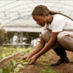 Stage ingenieur·e agronome