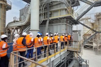 Aldelia recrute massivement 34 profils pour un projet de construction a Saint Louis