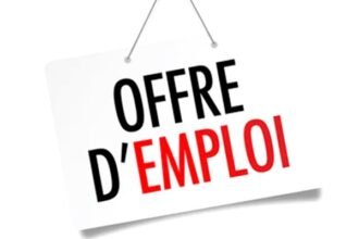 Les 30 offres demploi de la semaine au Senegal du 21 au 28 mars 2026