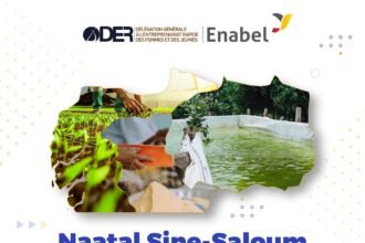 Projet Naatal Sine Saloum