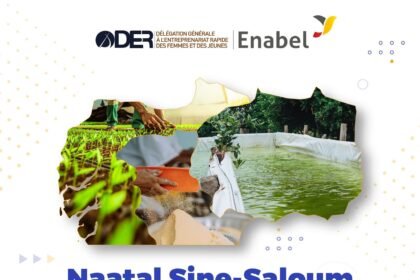 Projet Naatal Sine Saloum
