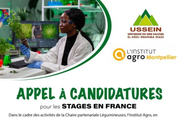lUSSEIN et lInstitut Agro Montpellier lancent un appel a candidatures pour les etudiants en Master