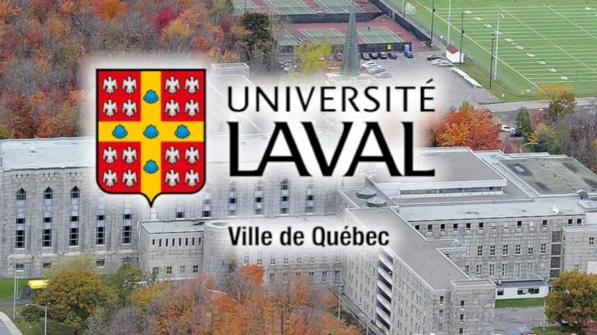 15 bourses detude international de lUniversite Laval pour 2026 2027