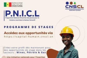 Le ST CNSCL lance un programme national de stages pour renforcer le contenu local
