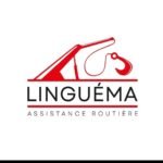 Linguema recrute des chauffeurs et apprentis chauffeurs au Senegal