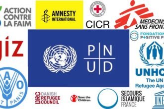 5 ONG internationales qui recrutent actuellement en Afrique