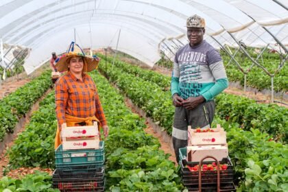5 pays qui recrutent activement des ouvriers agricoles africains en 2026