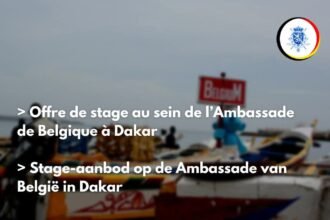 Ambassade de Belgique a Dakar recrute un stagiaire
