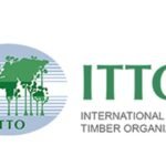 Bourse Internationale ITTO 2026