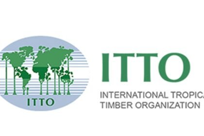 Bourse Internationale ITTO 2026