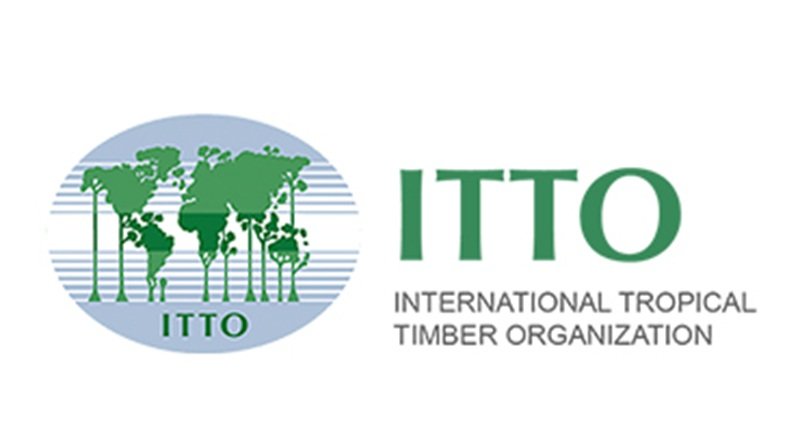 Bourse Internationale ITTO 2026 : candidatures ouvertes jusqu'au 20 juillet 1 Bourse Internationale ITTO 2026