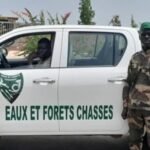 Concours Eaux et Forets 2026 au Senegal