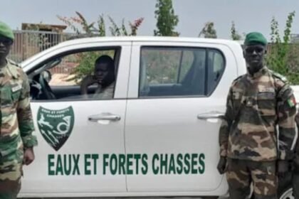 Concours Eaux et Forets 2026 au Senegal