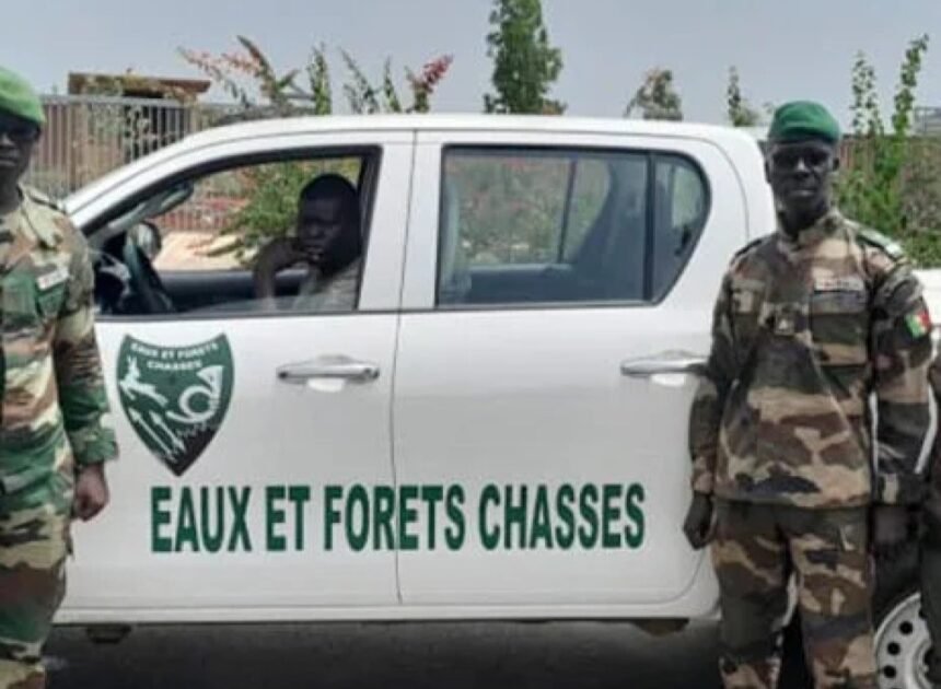 Concours Eaux et Forêts 2026 au Sénégal : dépôt des candidatures ouvert 1 Concours Eaux et Forets 2026 au Senegal