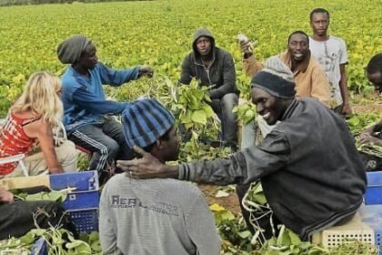 Migration circulaire Senegal Espagne 50 travailleurs saisonniers senegalais