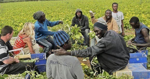 Migration circulaire Sénégal-Espagne : 50 travailleurs saisonniers sénégalais s’envolent 1 Migration circulaire Senegal Espagne 50 travailleurs saisonniers senegalais