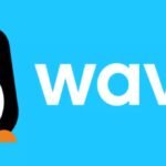Wave lance son programme de stages pour etudiants en 2026