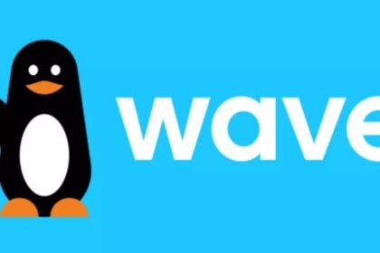 Wave lance son programme de stages pour etudiants en 2026