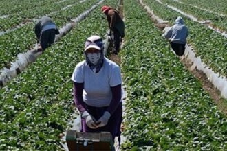 un nouveau visa de 12 mois pour les chercheurs demploi etrangers
