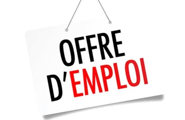 10 offres demploi actuellement disponibles au Senegal 09 juillet 2026