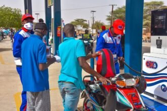 EDK OIL recrute plusieurs profils a Dakar SENEGAL 2026