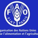 ONG International FAO recrute 01 Coordinateurtrice nationale de projet 01 juillet 2026