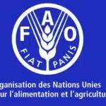 ONG International FAO recrute 01 Coordinateurtrice nationale de projet 01 juillet 2026