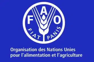 ONG International FAO recrute 01 Coordinateurtrice nationale de projet 01 juillet 2026